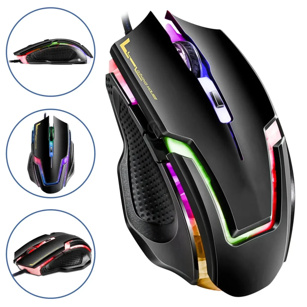 souris  IMICE A9